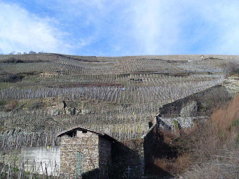 Cote-Rotie